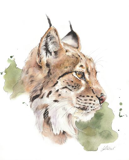 Féllini - a Paint Artwork by Aqualowe